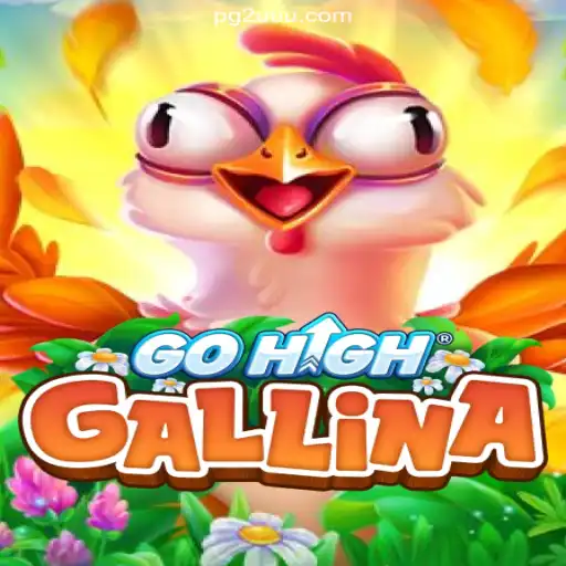 Discover GoHighGallina: The Exciting New Casino Game