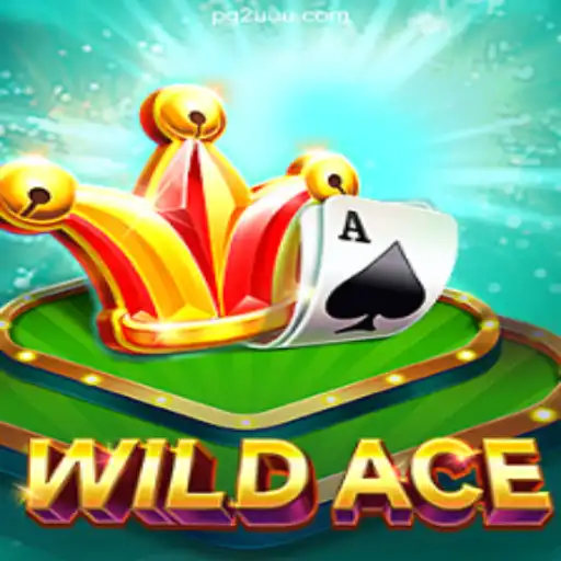 Discover the Thrills of WildAce: A Captivating Casino Game Adventure